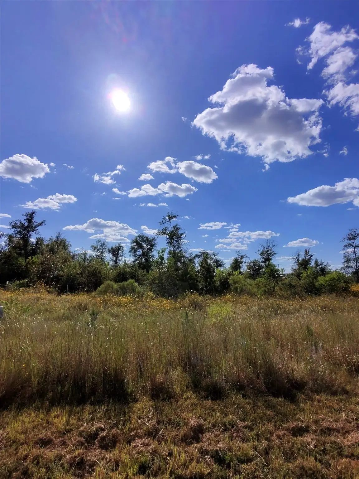 1643 Road 5601, Cleveland, TX 77327 - Image #1