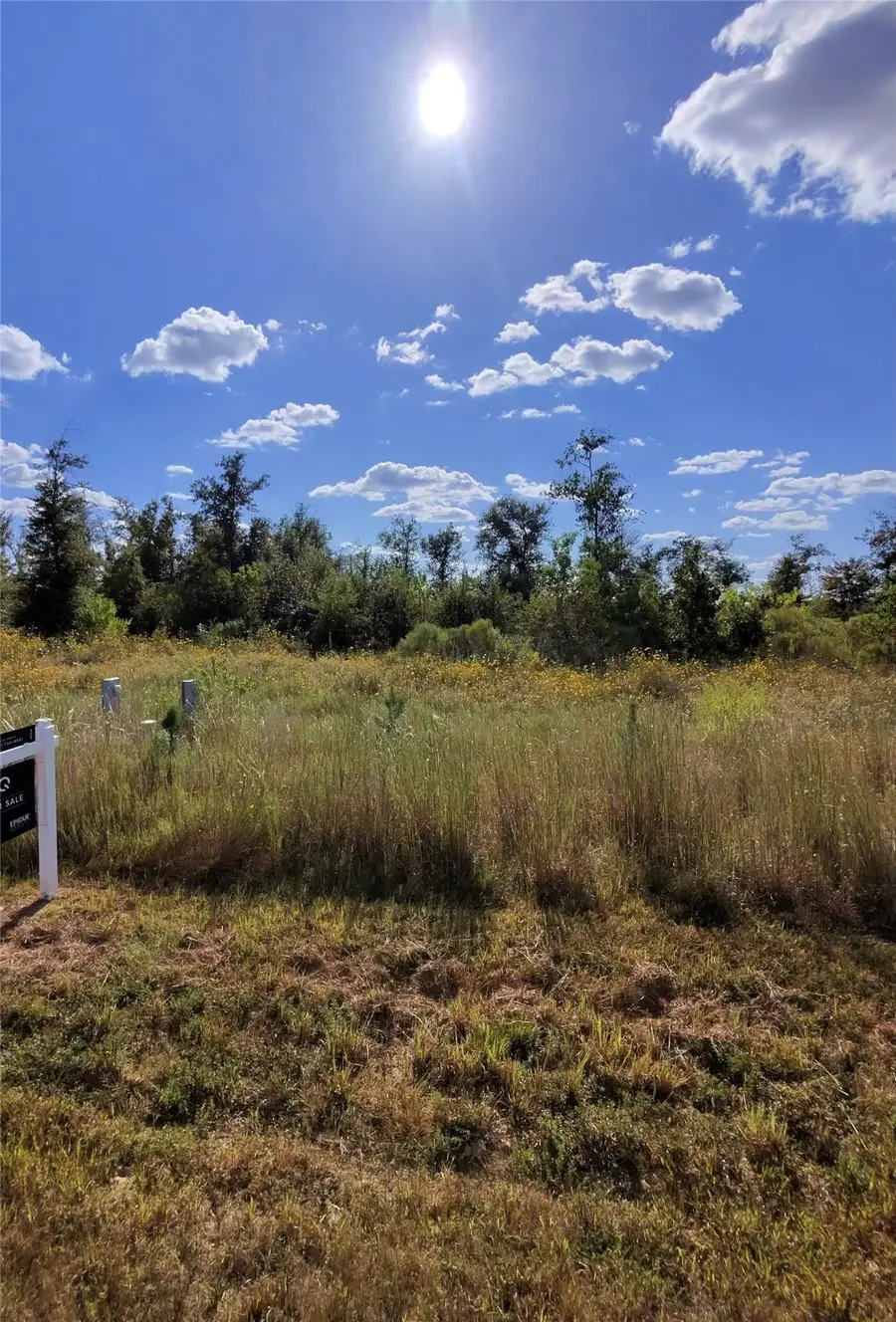 1643 Road 5601, Cleveland, TX 77327 - Image #2