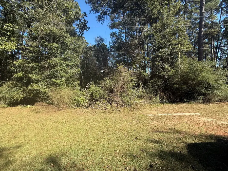 TBD2 Lake Shore Drive, Conroe, TX 77303 - #3