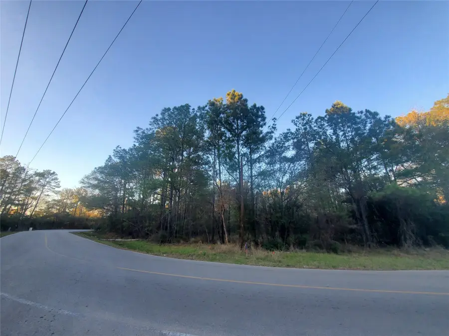 1.9 AC Meador Road, Conroe, TX 77303 - Image #3