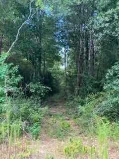 69 Tranquil Lane, Huntsville, TX 77340 - #3