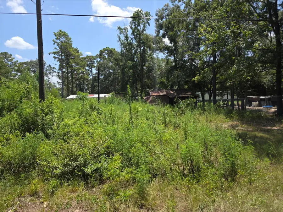 19340 Old Coffin Road, Conroe, TX 77302 - #2