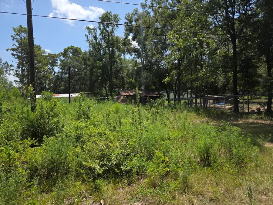 19340 Old Coffin Road, Conroe, TX 77302 - #3