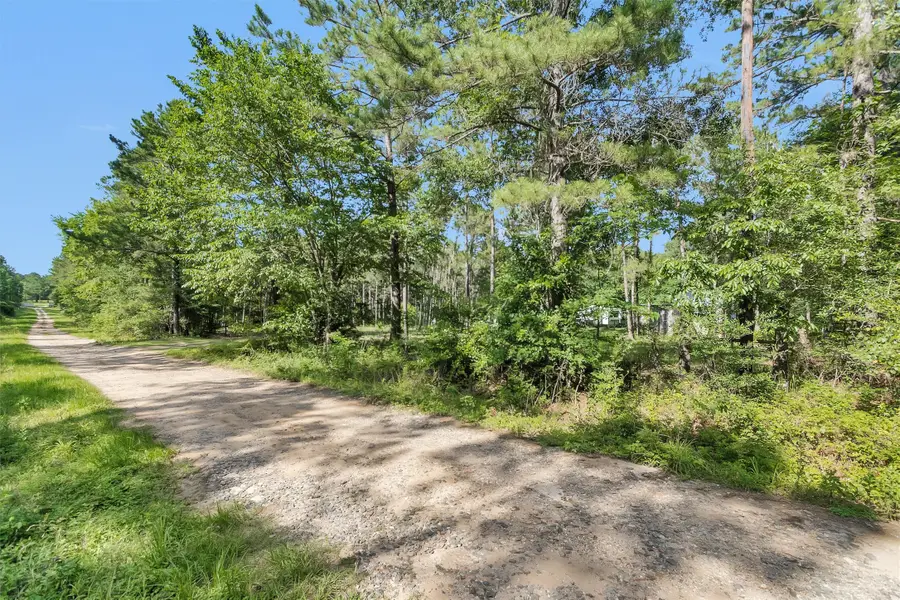 6493 Planters Row Lane Lane, Plantersville, TX 77363 - #2