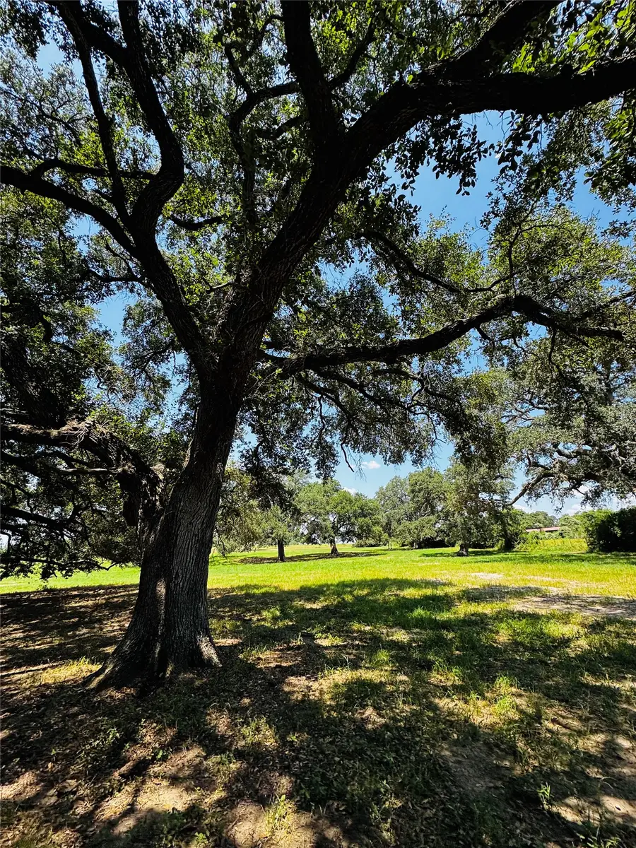 427 Knezek Road N, Flatonia, TX 78941 - #2
