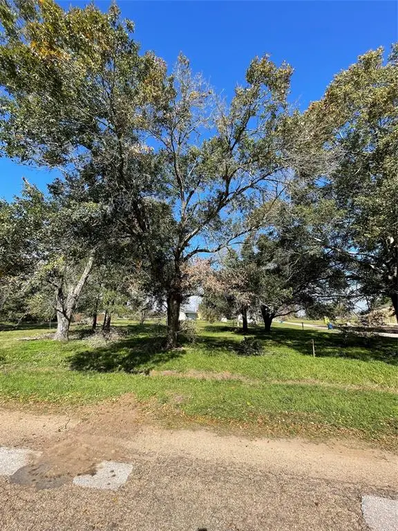 1400 Shepard Street, Hempstead, TX 77445 - Image #2