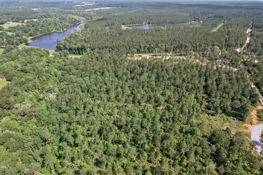 244 County Road 4455, Hillister, TX 77624 - Image #2