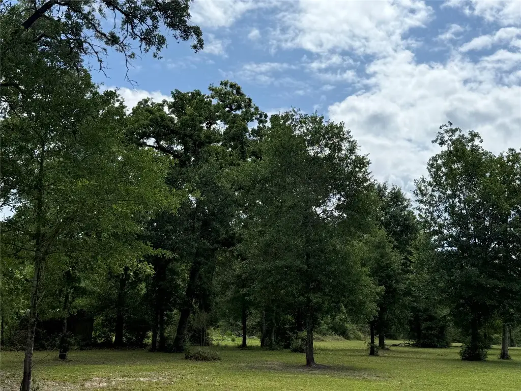 000 Oak Bend Drive, Huntsville, TX 77320 - #1