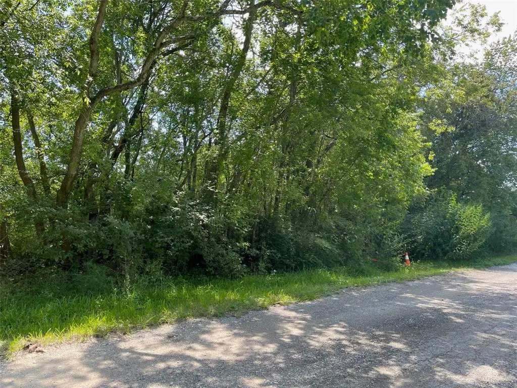 0 Beasley Ave, Hitchcock, TX 77563 - Image #1