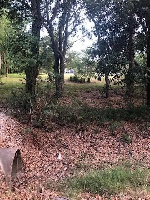 2226 County Road 57, Rosharon, TX 77583 - #2