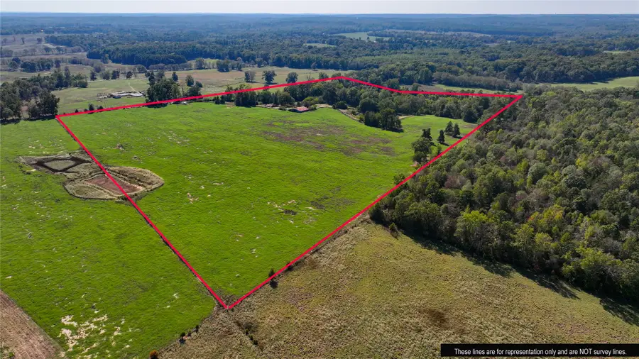 10736 Muskrat Road, Gilmer, TX 75644 - #3