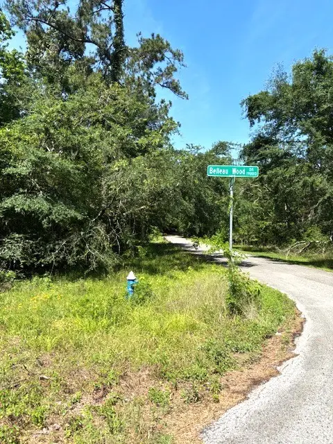 0 Belleau Wood Drive, Humble, TX 77338