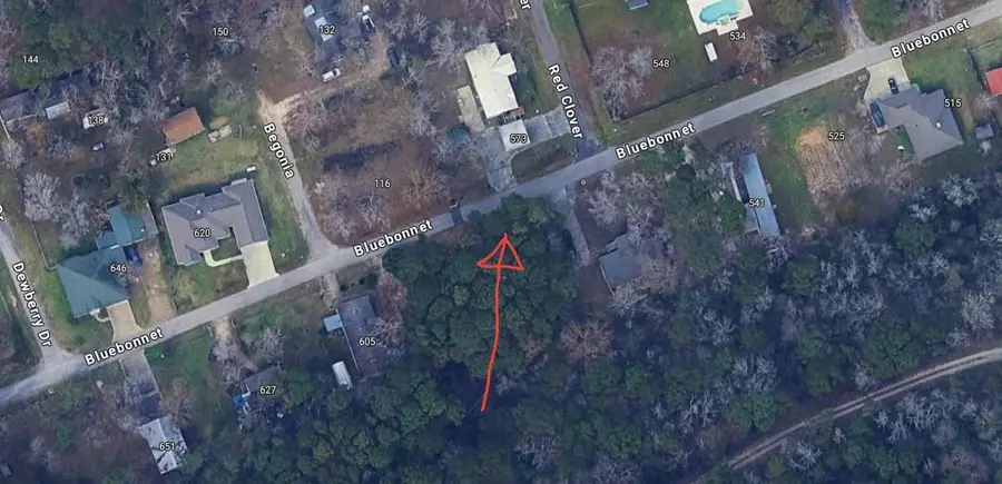 Lots 19 and 20 Bluebonnet, Livingston, TX 77351 - #2