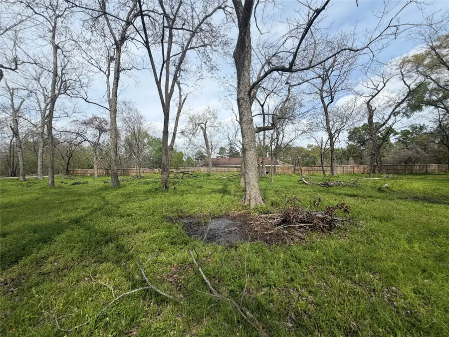 9608 Willow Street, Houston, TX 77088 - #2