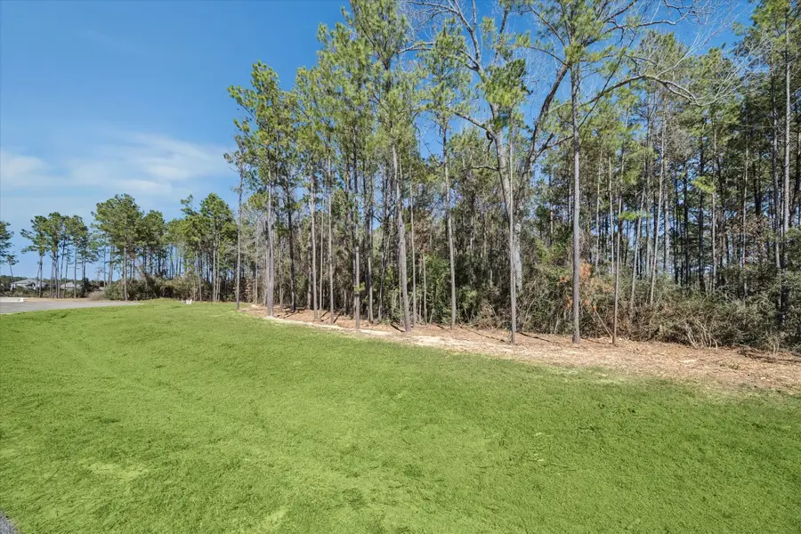 7526 High Meadow Ridge Drive, Montgomery, TX 77316 - #3