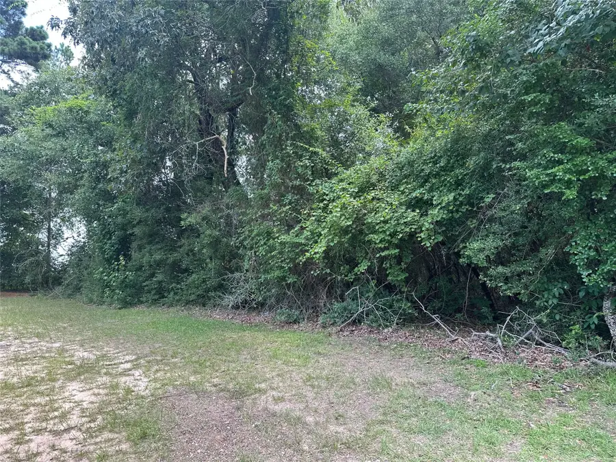 TBD Old Israel Road, Livingston, TX 77351 - #3