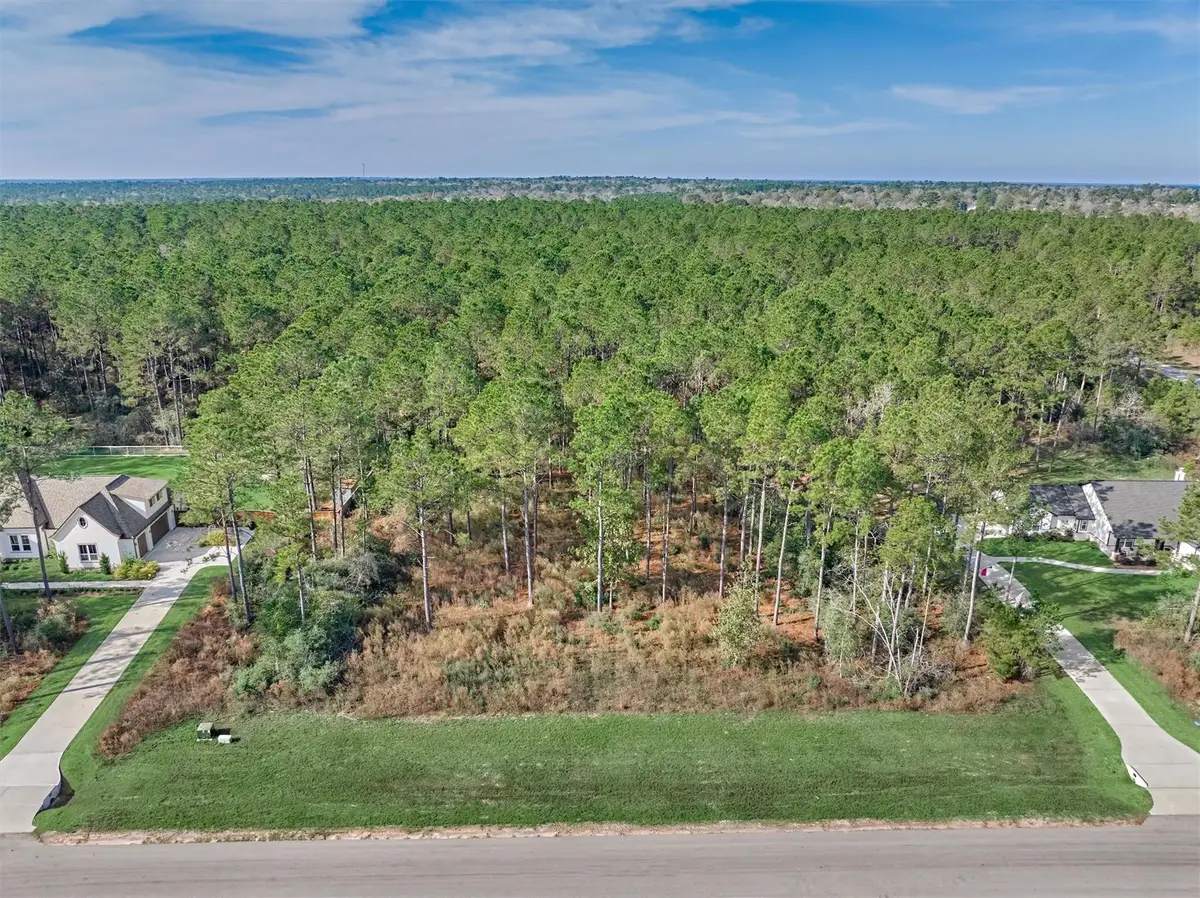 15929 Wood Grove Way, Willis, TX 77378 - #1
