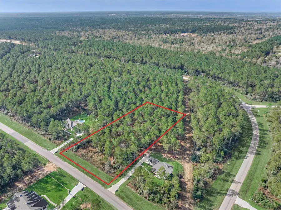 15929 Wood Grove Way, Willis, TX 77378 - #2