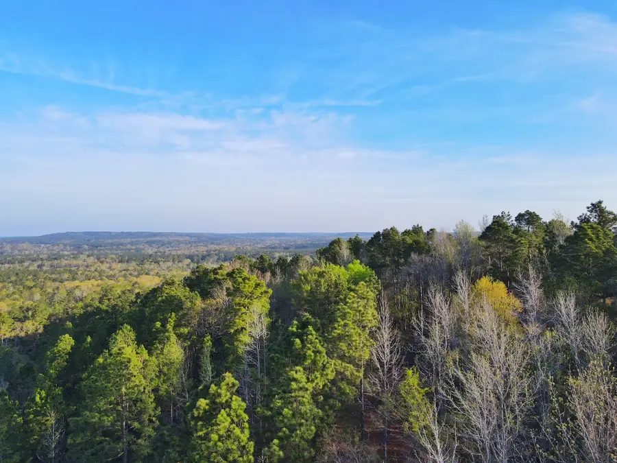 99 ac Cr 2107, Rusk, TX 75785 - Image #2