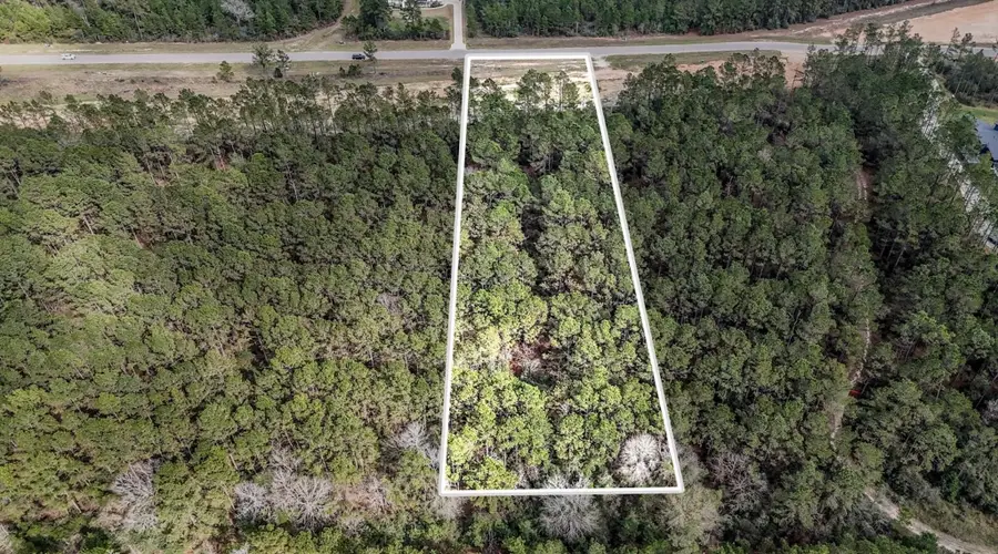 15583 Forest Grove Drive, Willis, TX 77378 - #2