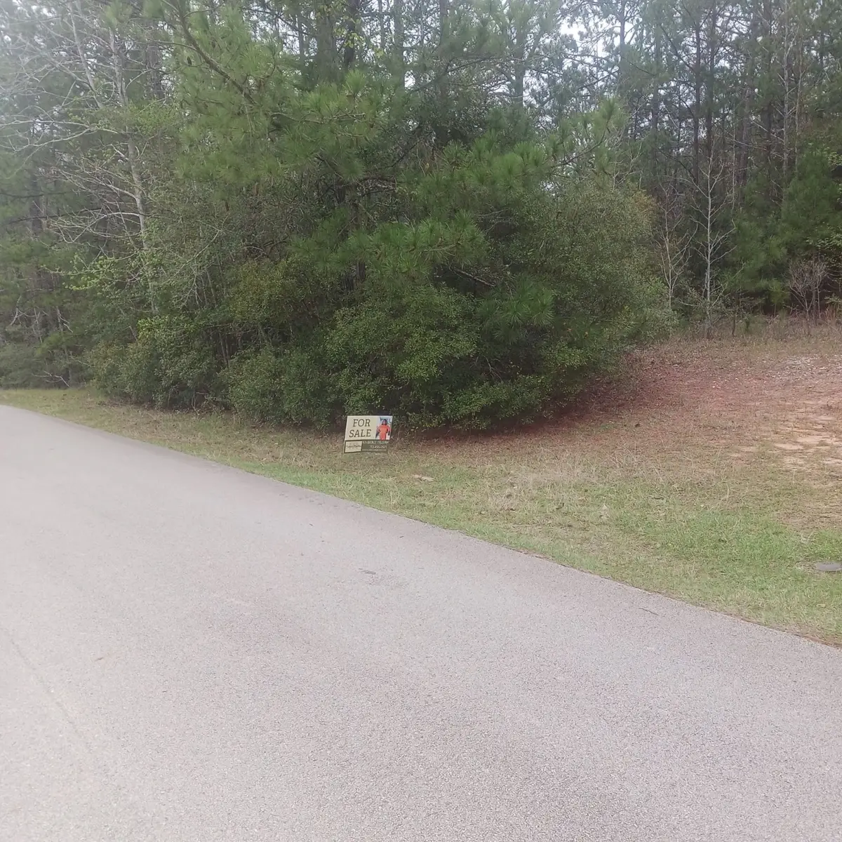 0 Nicklaus Lane, Brookeland, TX 75931 - Image #1