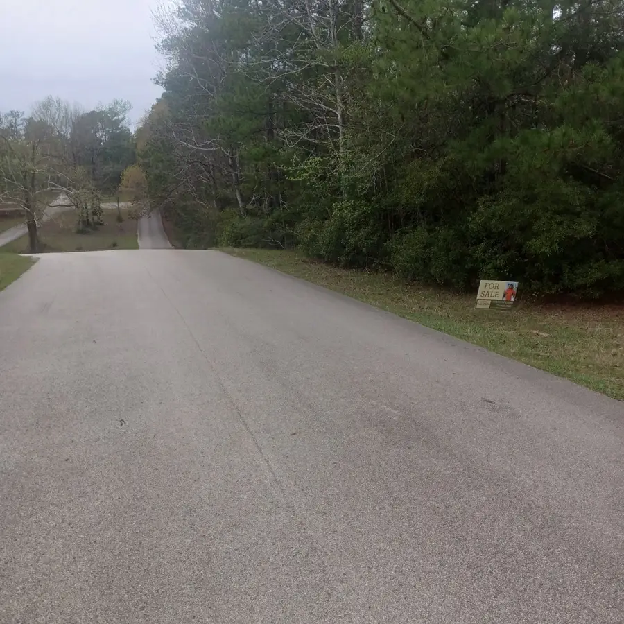 0 Nicklaus Lane, Brookeland, TX 75931 - Image #2