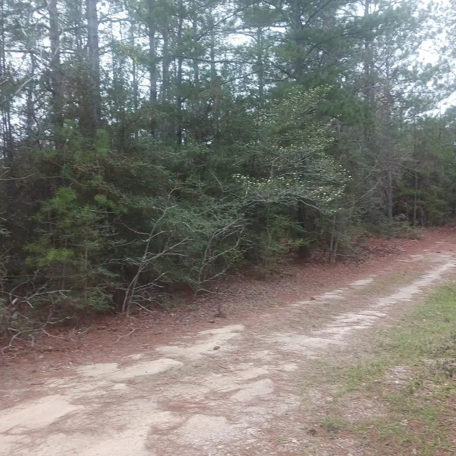 0 Nicklaus Lane, Brookeland, TX 75931 - Image #3