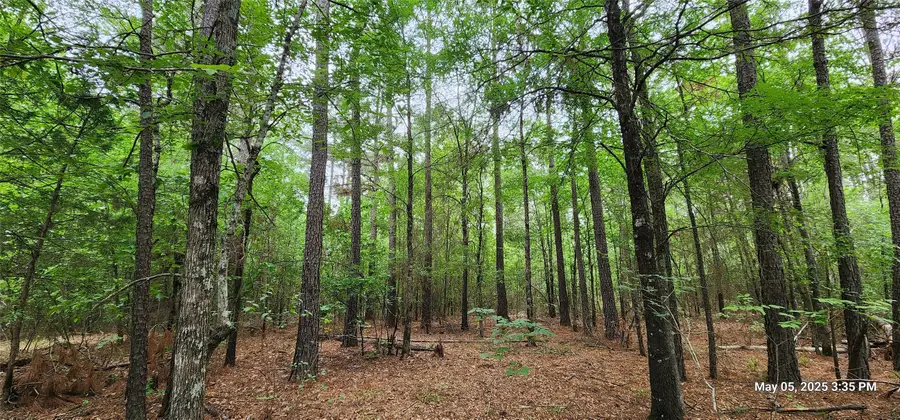 TBD County Road 3230, Clarksville, TX 75426 - Image #3