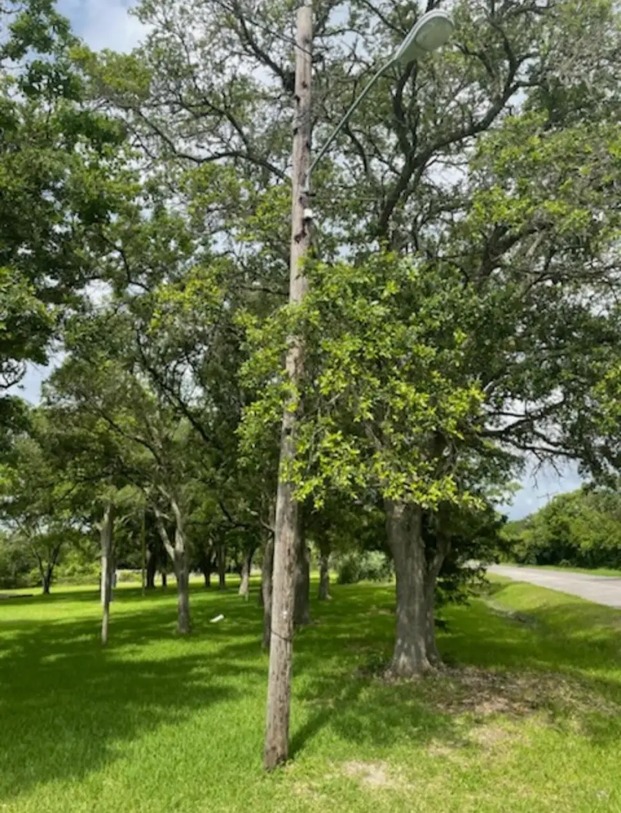 2702 Lake Road, La Marque, TX 77568 - #3