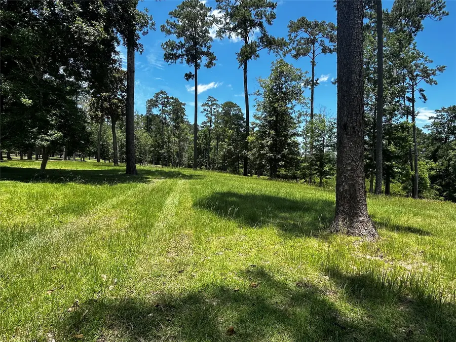 LOT 399 Lakeland Ranch, Hillister, TX 77624 - Image #3