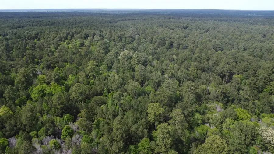 T-B-D Fm-1725, Shepherd Evergreen, TX 77328 - Image #3