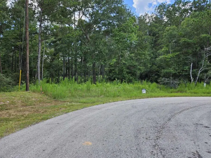 0 Fluorite Court, Huntsville, TX 77340 - Image #3