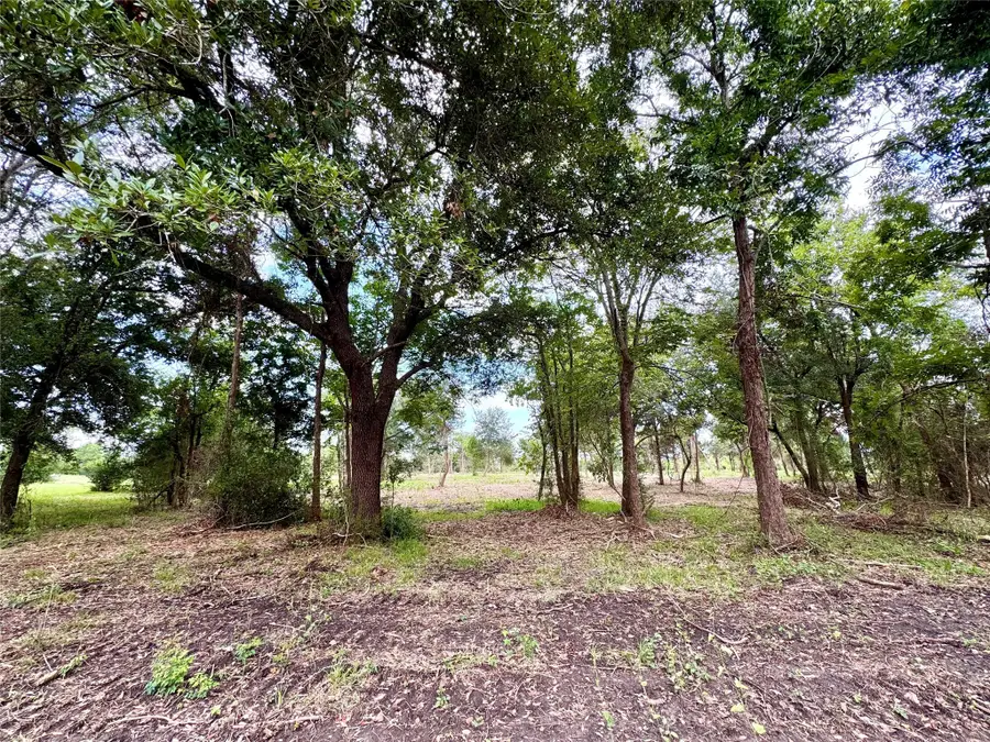 0 Avenue J - Lot 2, Santa Fe, TX 77510 - Image #2