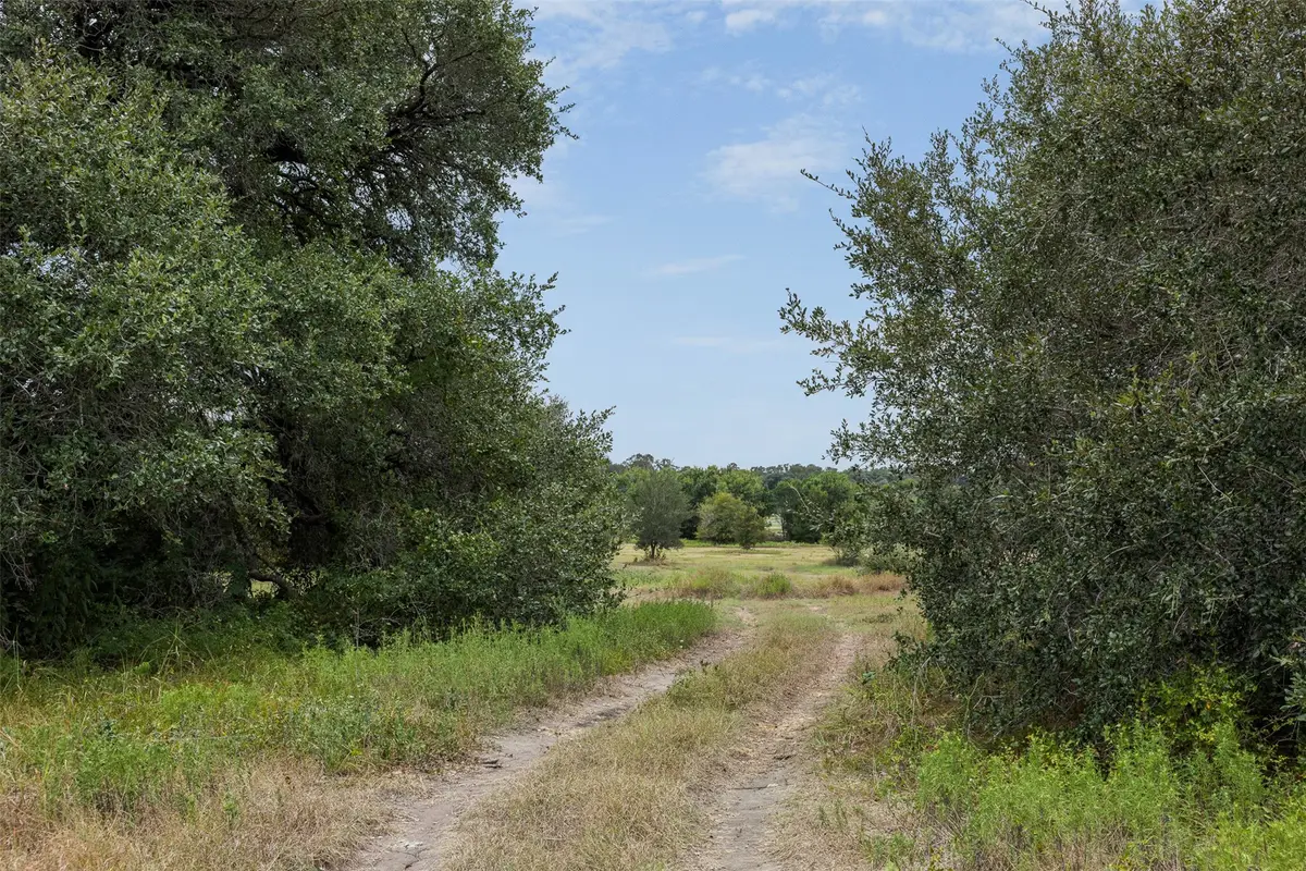 9365 Bauer Road, Fayetteville, TX 78940 - #1