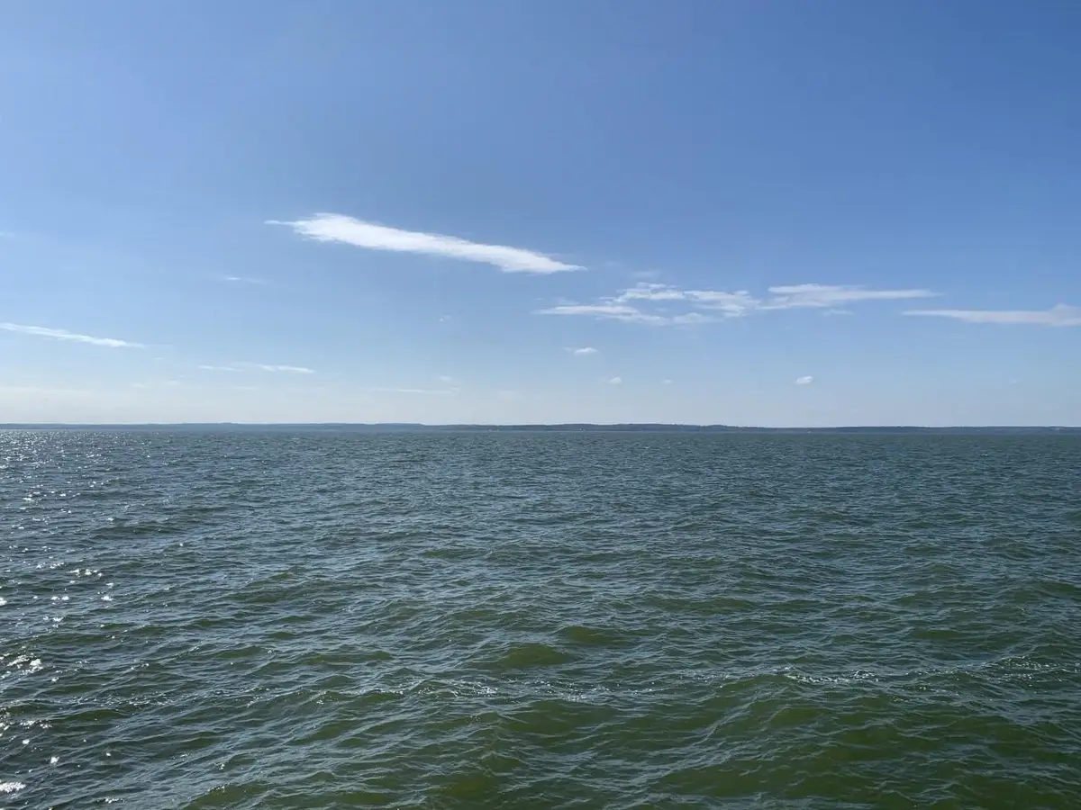 445 Carolcrest Lane, Livingston, TX 77351 - #1