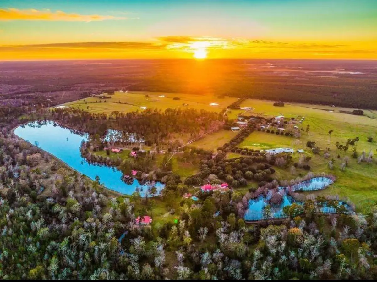 TBD Lakeland Ranch Sec 3 Lot 116, Hillister, TX 77624 - #1