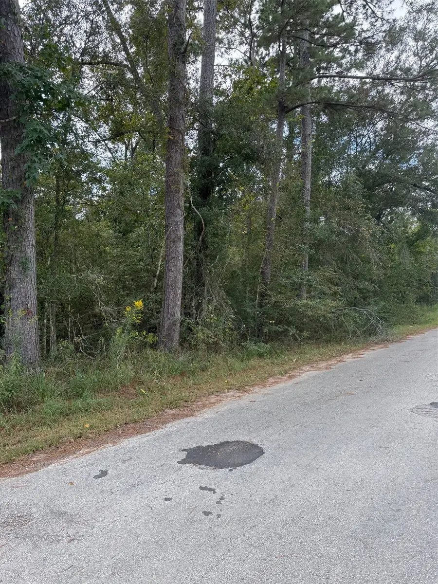 Lot 16 Long Street, Splendora, TX 77372 - #2