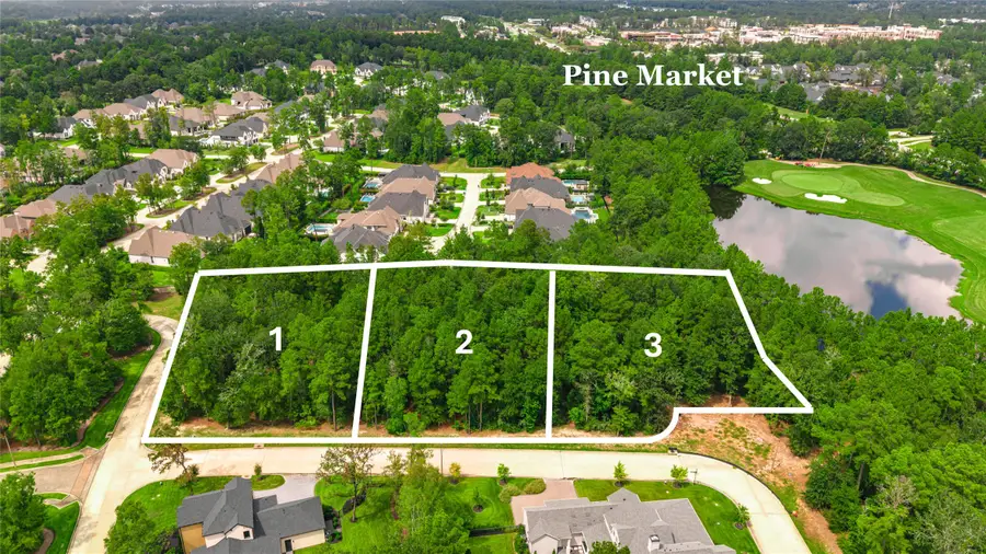 104 Castle Pines Drive, Montgomery, TX 77316 - #2