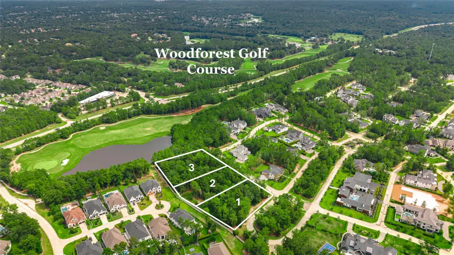 104 Castle Pines Drive, Montgomery, TX 77316 - #3