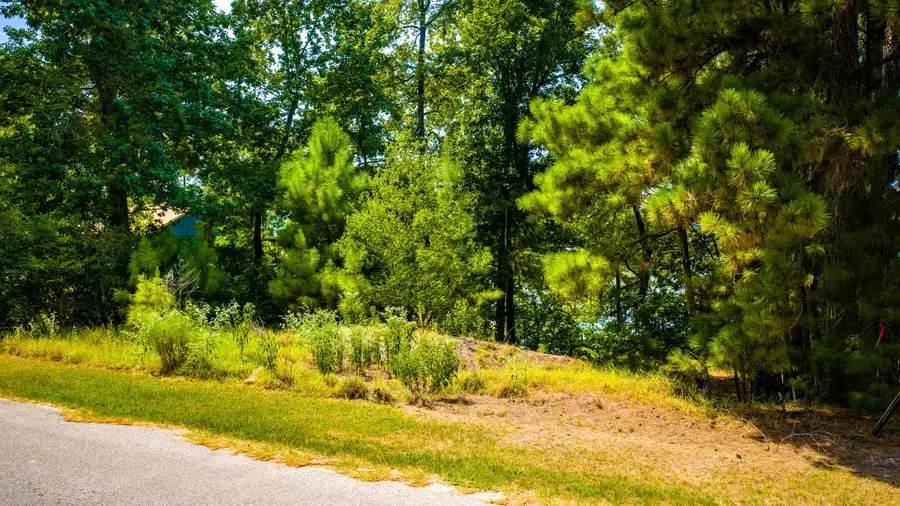 TBD Ridgewood Trail, Trinity, TX 75862 - #3