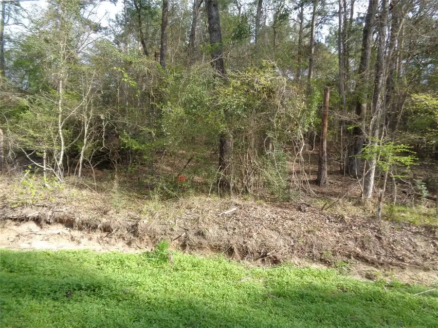 000 Old Colony Road, Huntsville, TX 77320 - #3