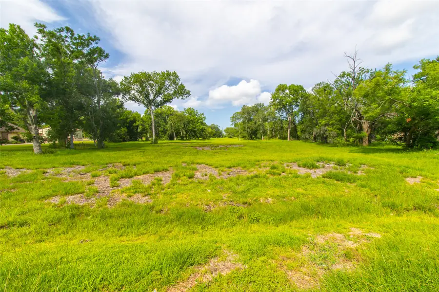 222 Star Lake Drive, Missouri City, TX 77459 - #2