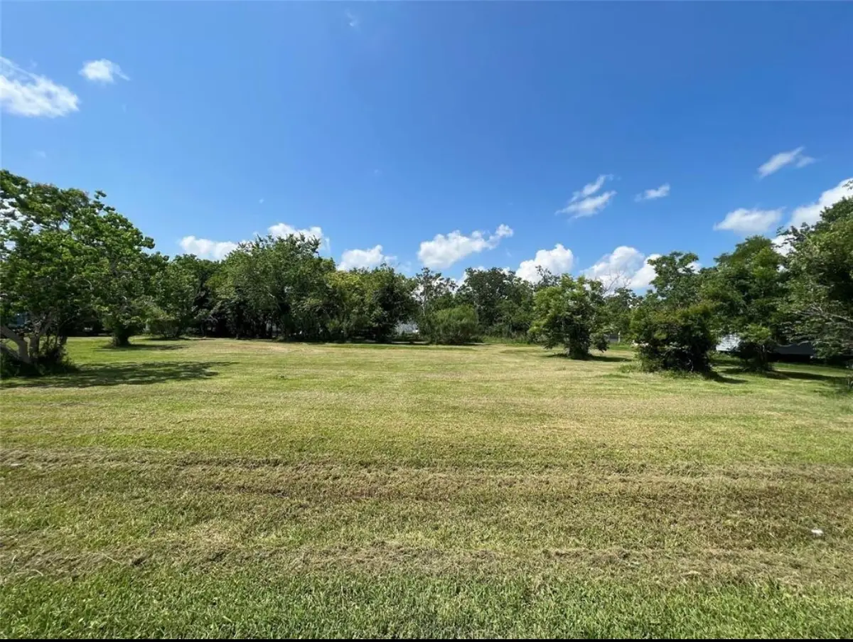 224 Coker Street, Jones Creek, TX 77541 - Image #1