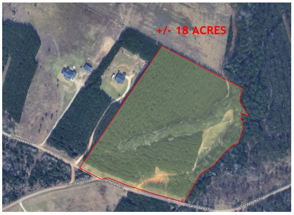 TBD Sandydale Lane, Livingston, TX 77351 - #1