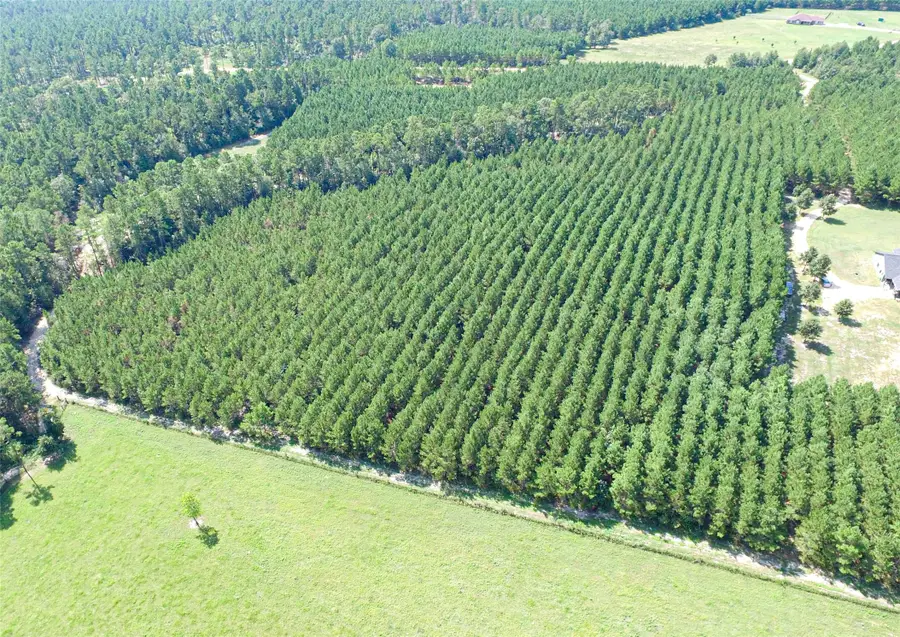 TBD Sandydale Lane, Livingston, TX 77351 - #2