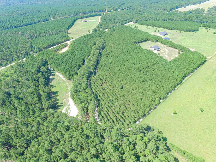 TBD Sandydale Lane, Livingston, TX 77351 - #3