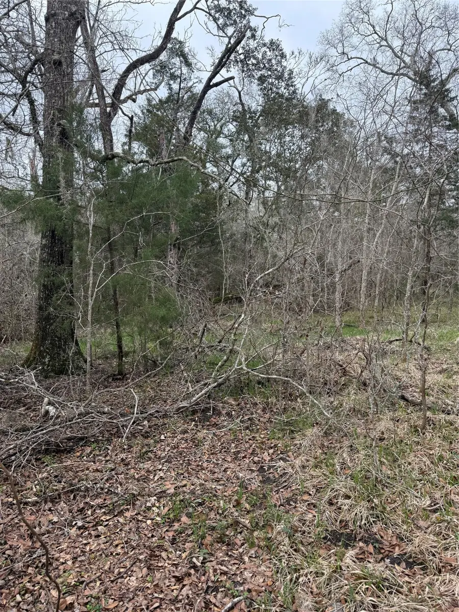 000 Cr-289, Sweeny, TX 77480 - #3