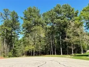 1513 Citron Court, Willis, TX 77378 - Image #1