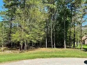 1513 Citron Court, Willis, TX 77378 - Image #3