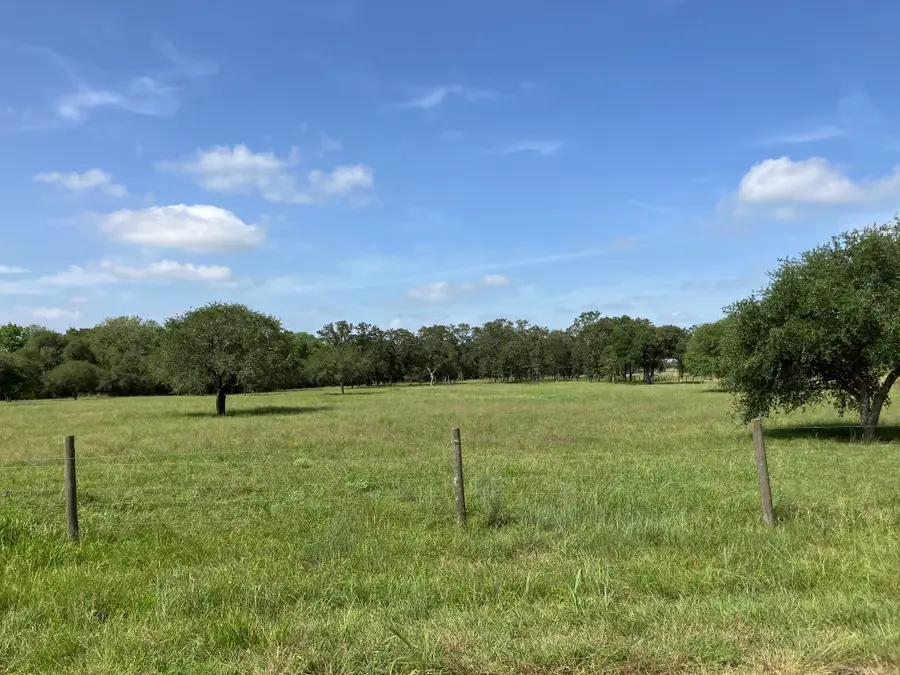 6800 Waldeck Cemetery Road, Round Top, TX 78954 - Image #2